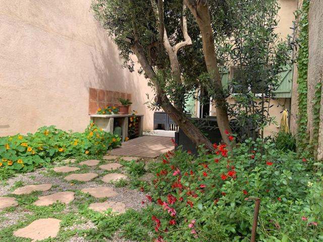 L'olivier de Nonna - Appartement 2 Chambres - 14