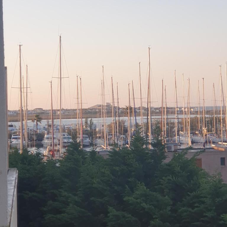 Côté Marina - Two-Bedroom Apartment - 1