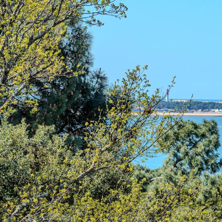 Villa Mistral Pyla-sur-Mer - Villa 1 Chambre - 20