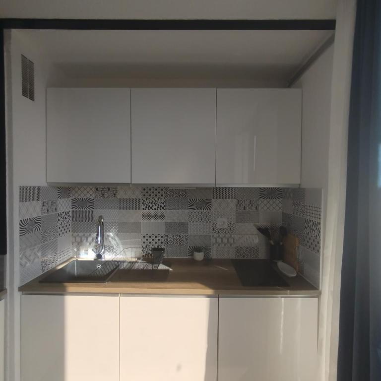 Côté Marina - Two-Bedroom Apartment - 11
