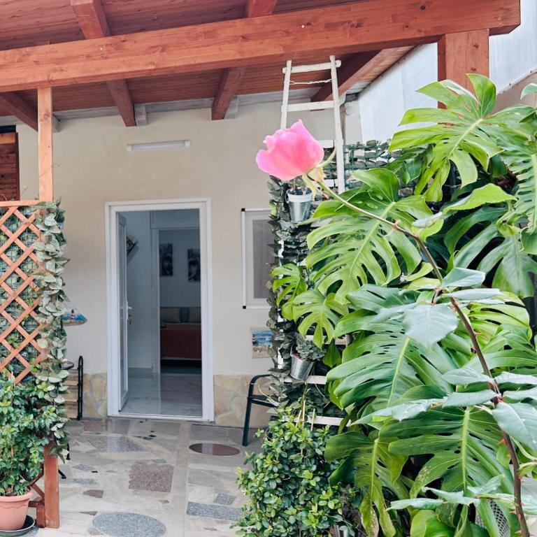 Nonno 'nzinu 150 meters from the sandy beach with wifi - Appartamento con 1 Camera da Letto - 9