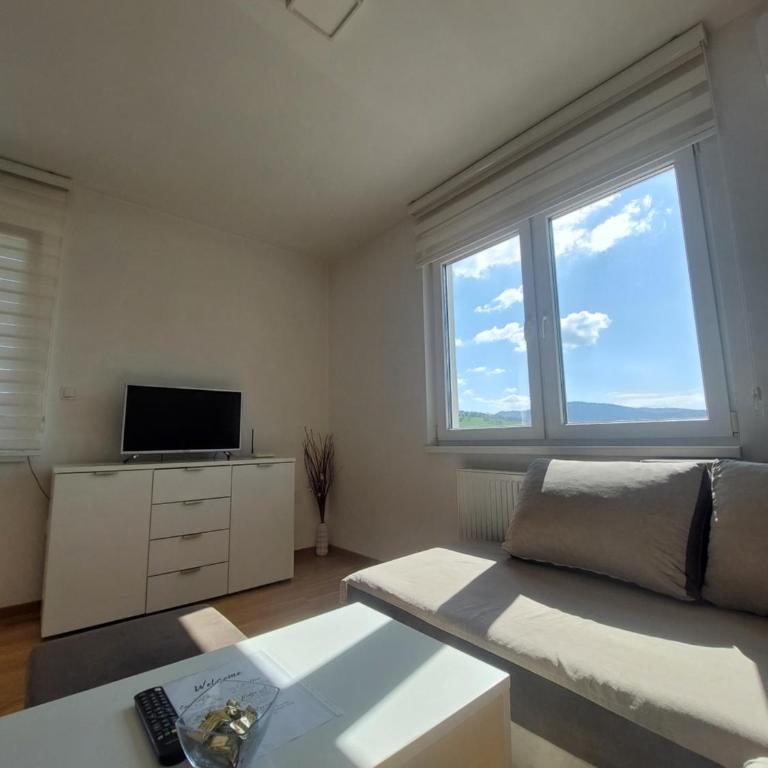 Apartman Pale - Biljana - One-Bedroom Apartment - 3