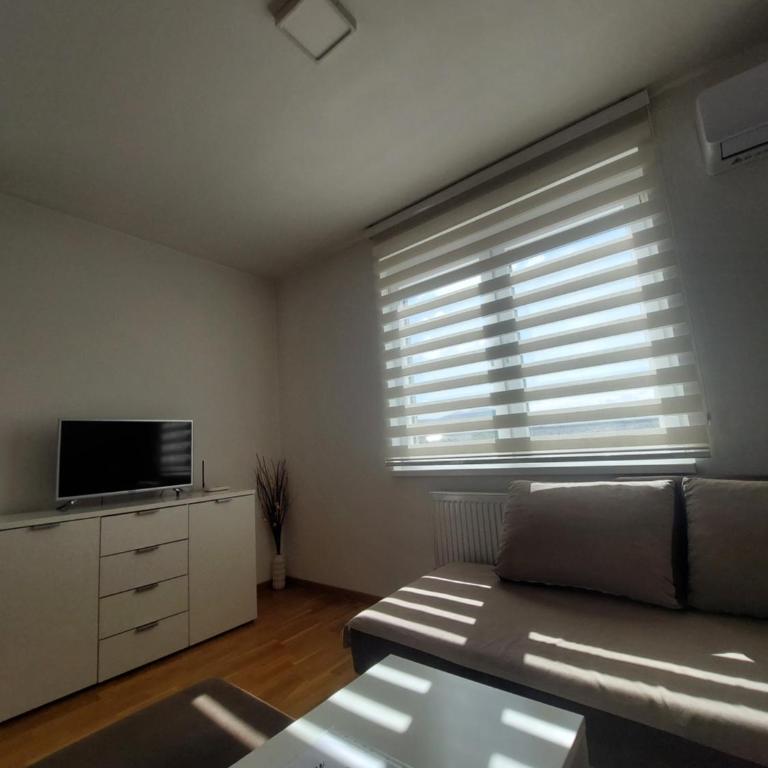 Apartman Pale - Biljana - One-Bedroom Apartment - 12