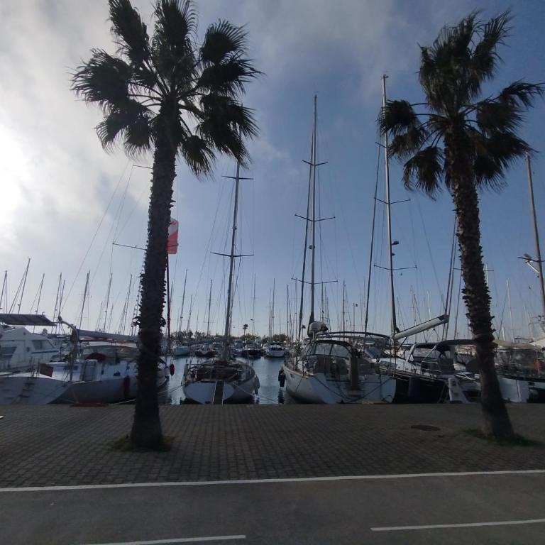 Côté Marina - Two-Bedroom Apartment - 35