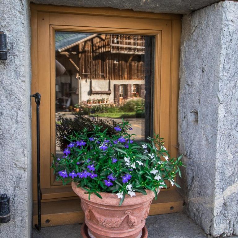 Chalet des Cimes - Apartamento - 20