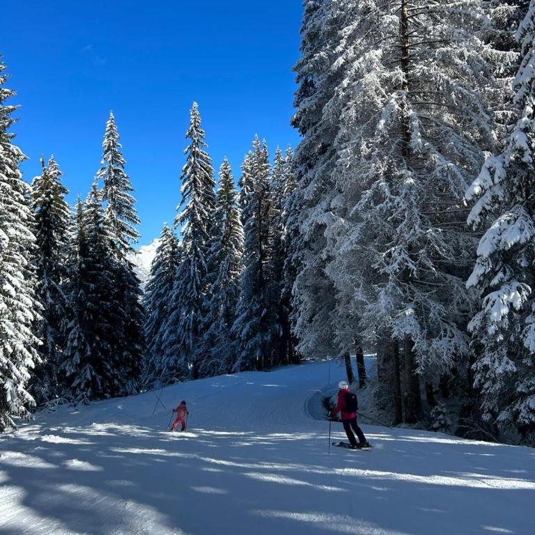 Chalet des Cimes - Apartamento - 21
