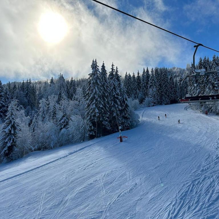 Chalet des Cimes - Apartamento - 26
