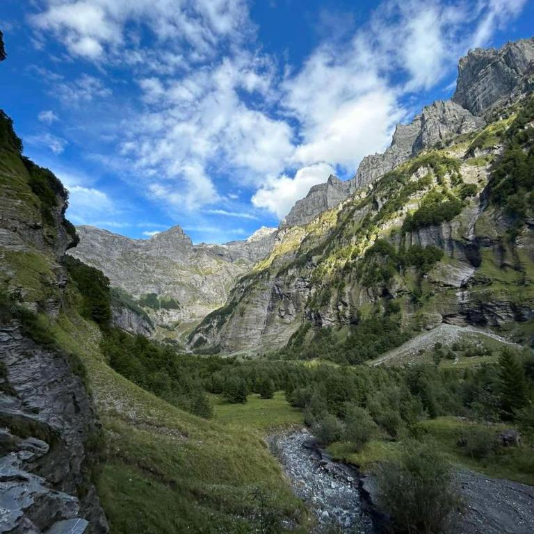 Chalet des Cimes - Apartamento - 32