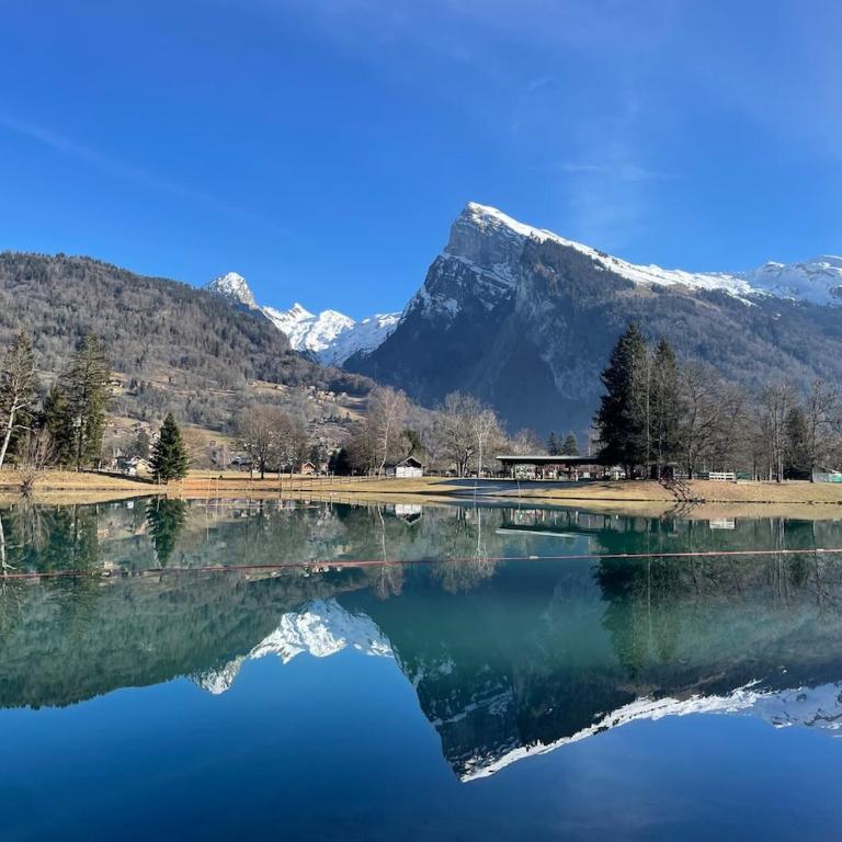 Chalet des Cimes - Apartamento - 45