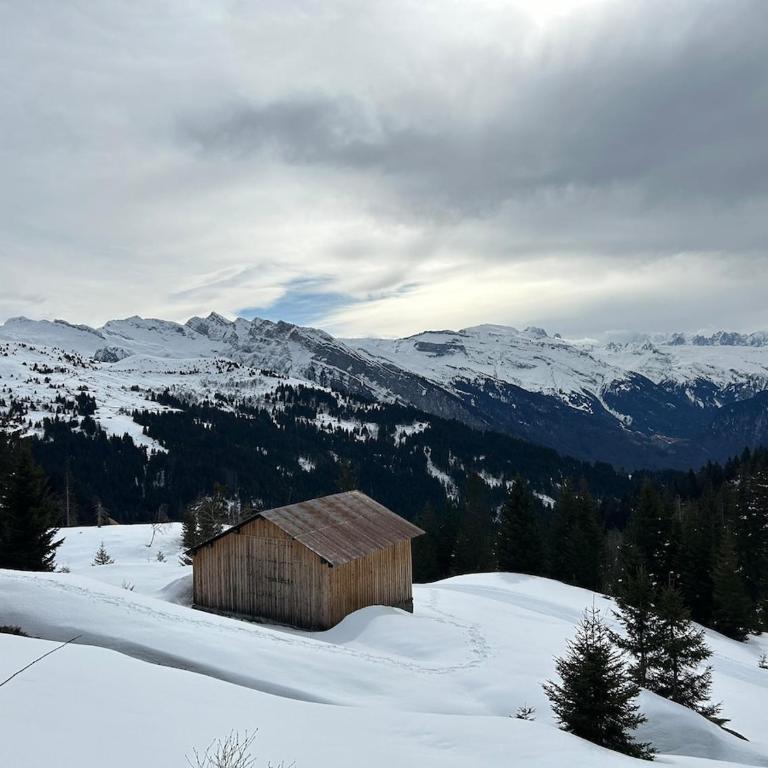 Chalet des Cimes - Apartamento - 46
