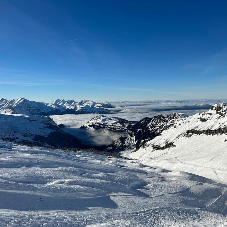Chalet des Cimes - Apartamento - 47