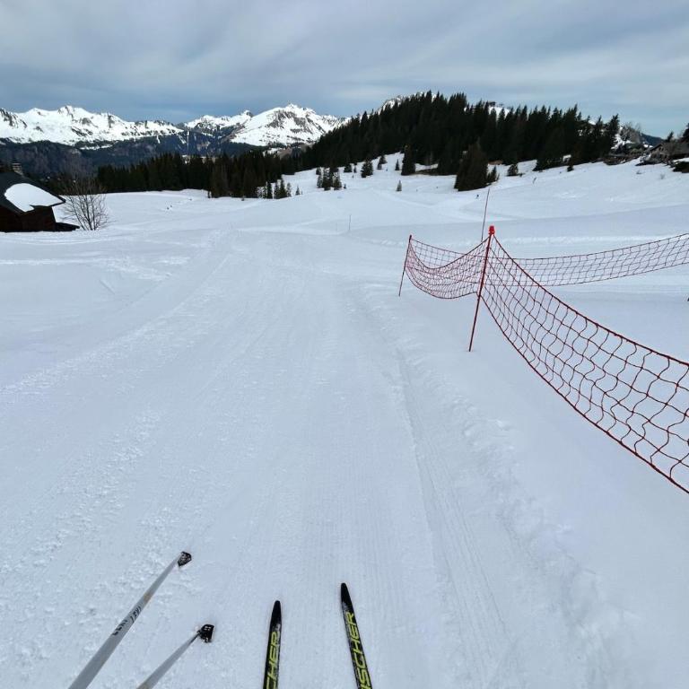 Chalet des Cimes - Apartamento - 49