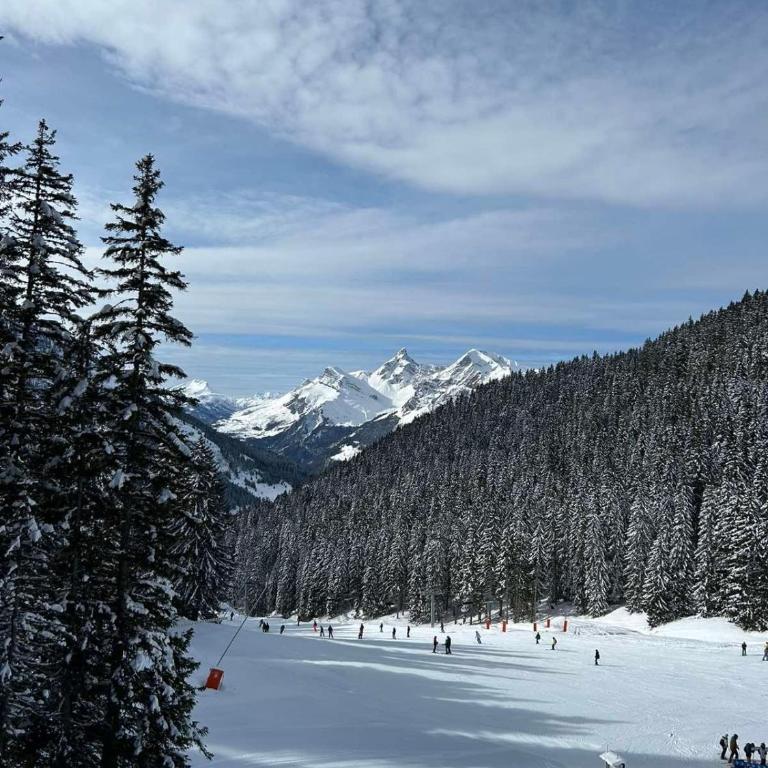 Chalet des Cimes - Apartamento - 54