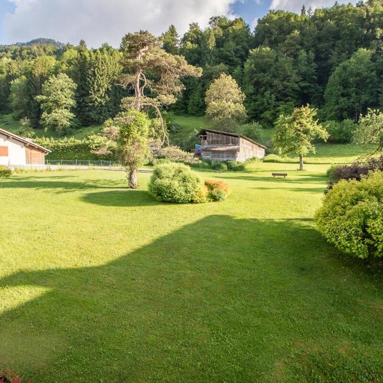 Chalet des Cimes - Apartamento - 55