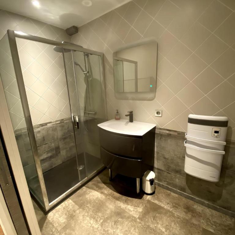 Appartement hyper centre-ville historique 80 m2 - Appartement 1 Chambre - 3