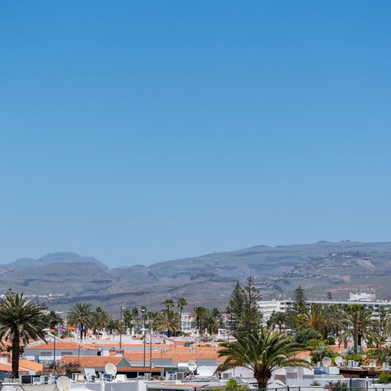 Palm View Apartment Las Camelias - Apartamento de 1 dormitorio - 30