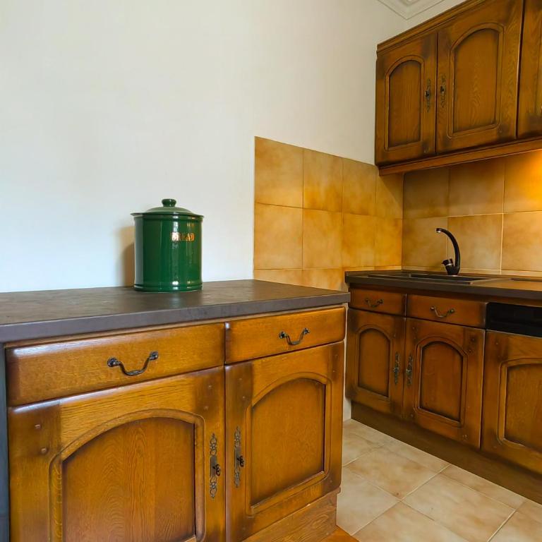 Villa Pavlović - Superior Villa - 50