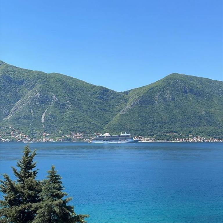 Marina Ljuta apartment - Apartman sa 1 Spavaćom Sobom - 2