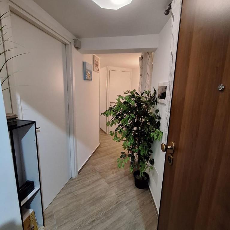 Tra I Normanni E Cattedrale Apartament Palermo - Appartamento con 3 Camere da Letto - 5
