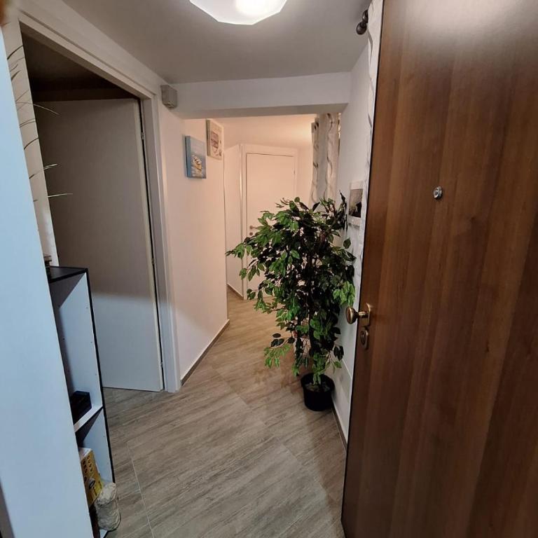 Tra I Normanni E Cattedrale Apartament Palermo - Appartamento con 3 Camere da Letto - 8