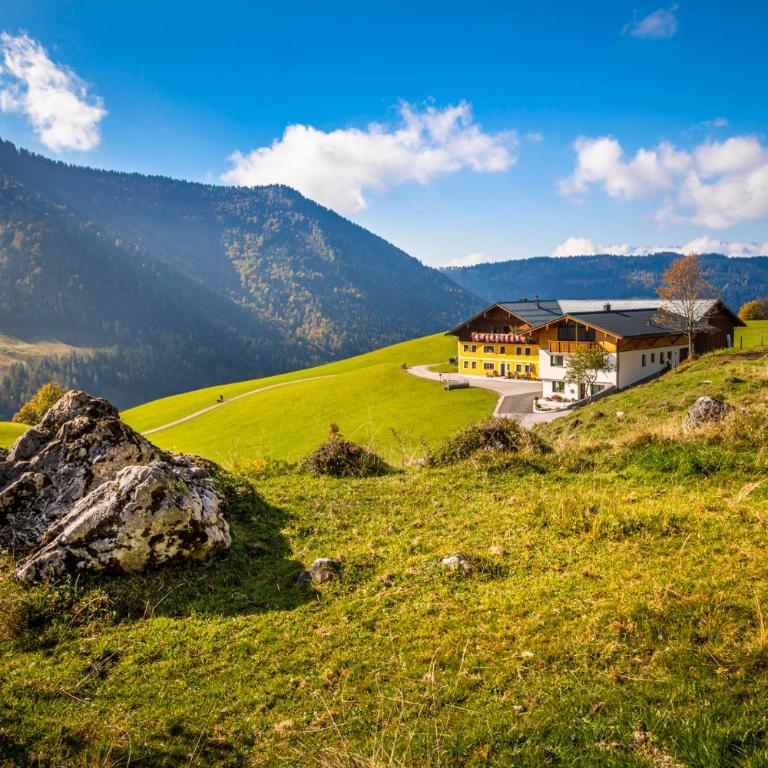 Bio-Bergbauernhof Lasserbauer - Apartment mit 2 Schlafzimmern und Bergblick - 1