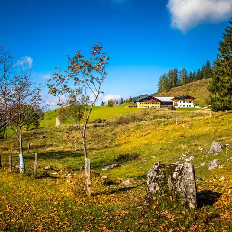 Bio-Bergbauernhof Lasserbauer - Apartment mit 2 Schlafzimmern und Bergblick - 13
