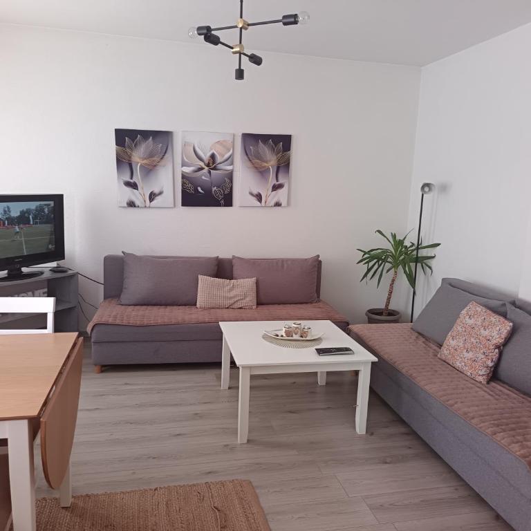 Enjoy traveling - One-Bedroom Apartment - 3
