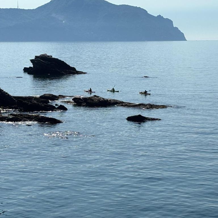 Una finestra sul mare 1 - A window on the sea 1 - Nervi - Genoa - Two-Bedroom Apartment with Sea View - 79