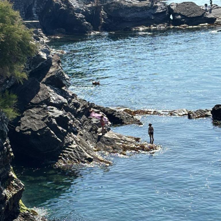 Una finestra sul mare 1 - A window on the sea 1 - Nervi - Genoa - Two-Bedroom Apartment with Sea View - 77