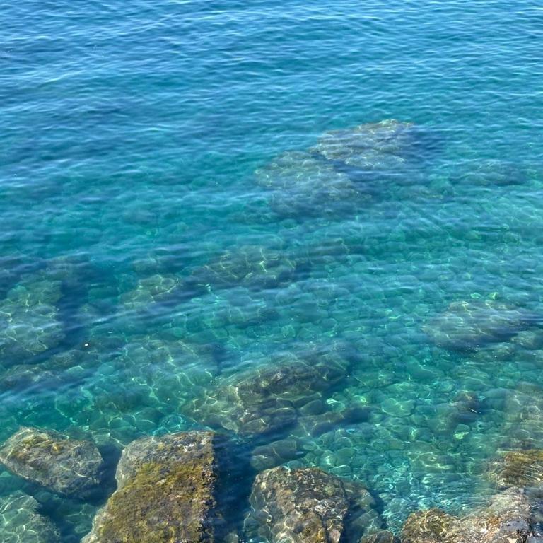 Una finestra sul mare 1 - A window on the sea 1 - Nervi - Genoa - Two-Bedroom Apartment with Sea View - 74