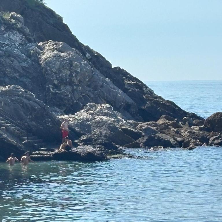Una finestra sul mare 1 - A window on the sea 1 - Nervi - Genoa - Two-Bedroom Apartment with Sea View - 72