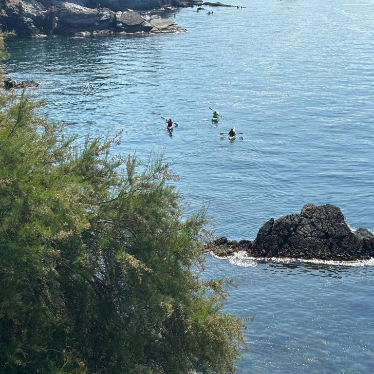 Una finestra sul mare 1 - A window on the sea 1 - Nervi - Genoa - Two-Bedroom Apartment with Sea View - 63
