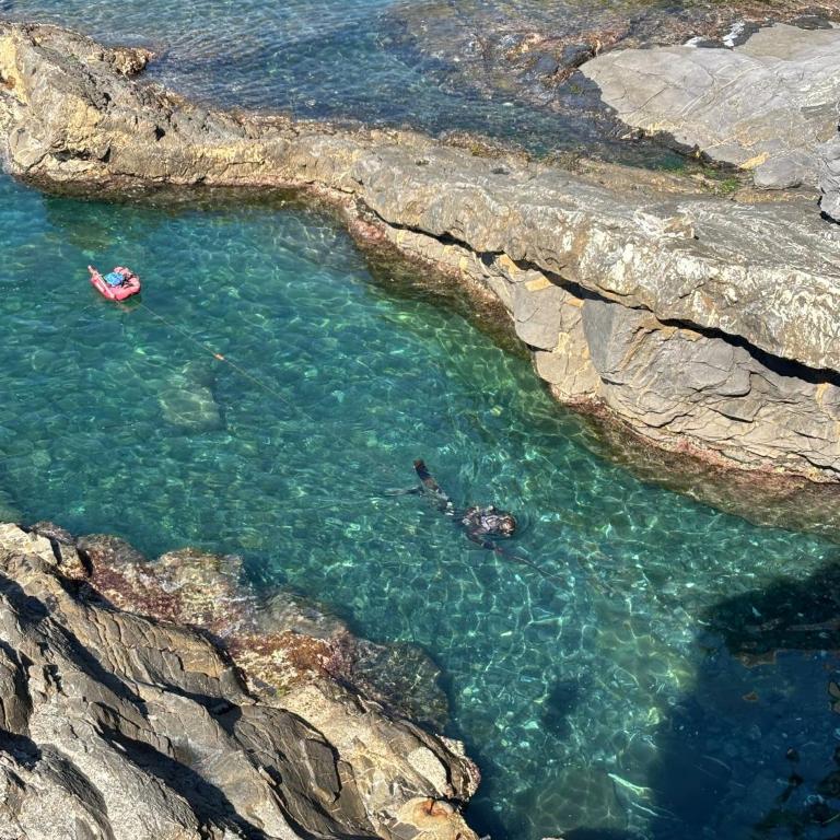 Una finestra sul mare 1 - A window on the sea 1 - Nervi - Genoa - Two-Bedroom Apartment with Sea View - 61