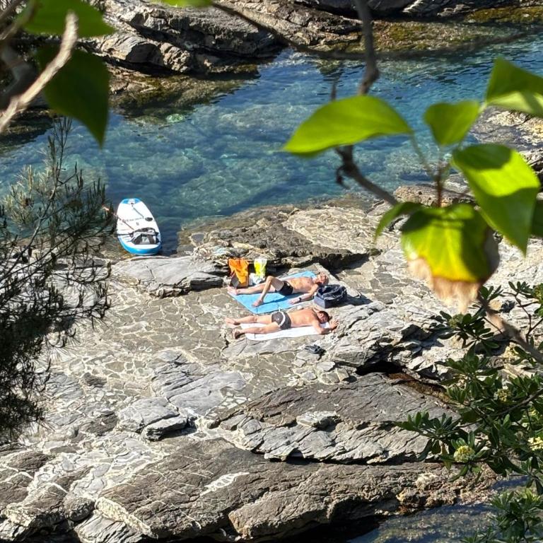 Una finestra sul mare 1 - A window on the sea 1 - Nervi - Genoa - Two-Bedroom Apartment with Sea View - 69
