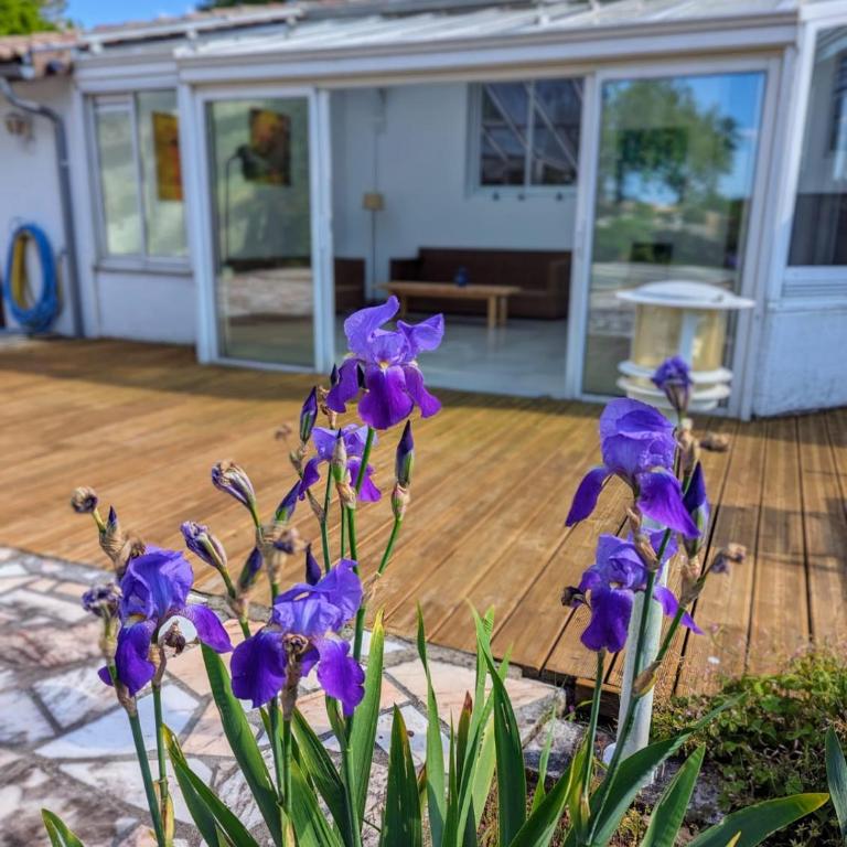 Magnifique maison avec piscine, idéalement située - Haus mit 4 Schlafzimmern - 25
