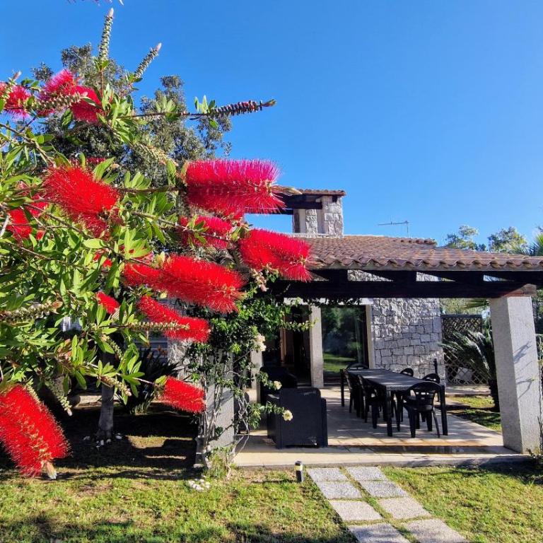 Villa Marianna - Villa con 2 Camere da Letto - 12