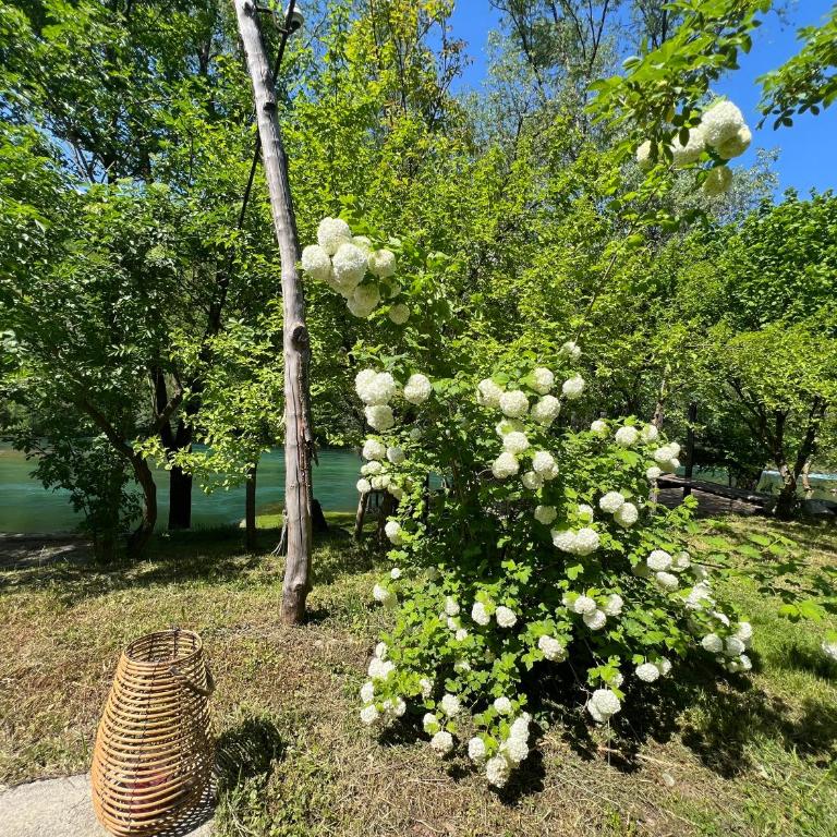 Apartment Anur - Vacation Home - 33