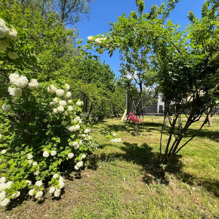 Apartment Anur - Vacation Home - 34