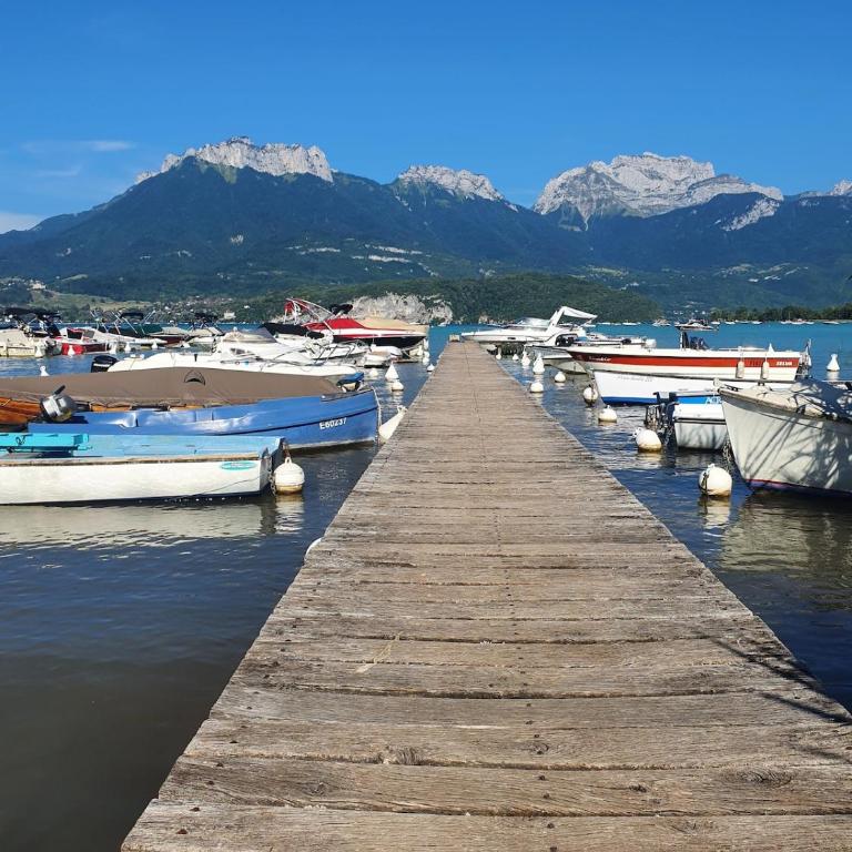 Annecy cozy studio with terrace - Appartamento con 1 Camera da Letto - 6