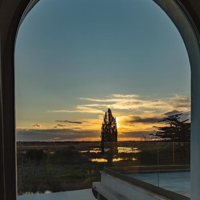 Mas du Couvin, maison d'hôtes en Camargue - Camera Matrimoniale Deluxe con Balcone - 16