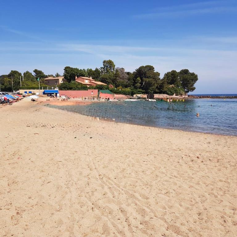 Le Grand Estivale -3 terrasses-100m plage de sable - Appartamento con 1 Camera da Letto - 30