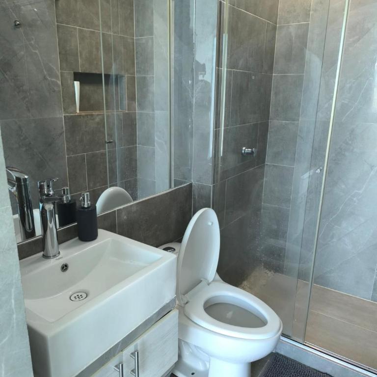 House with a private pool in Girardot - Casa de 3 dormitorios - 27