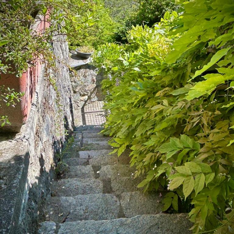 Casa Giromina - Appartamento con 1 Camera da Letto - 23