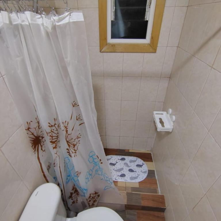 Cabaña en Temuco, excelente ubicación - One-Bedroom Apartment with Garden - 4