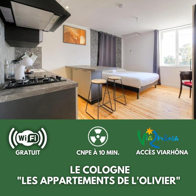 Le Cologne - Les appartements de l'olivier - Appartement 1 Chambre - 1