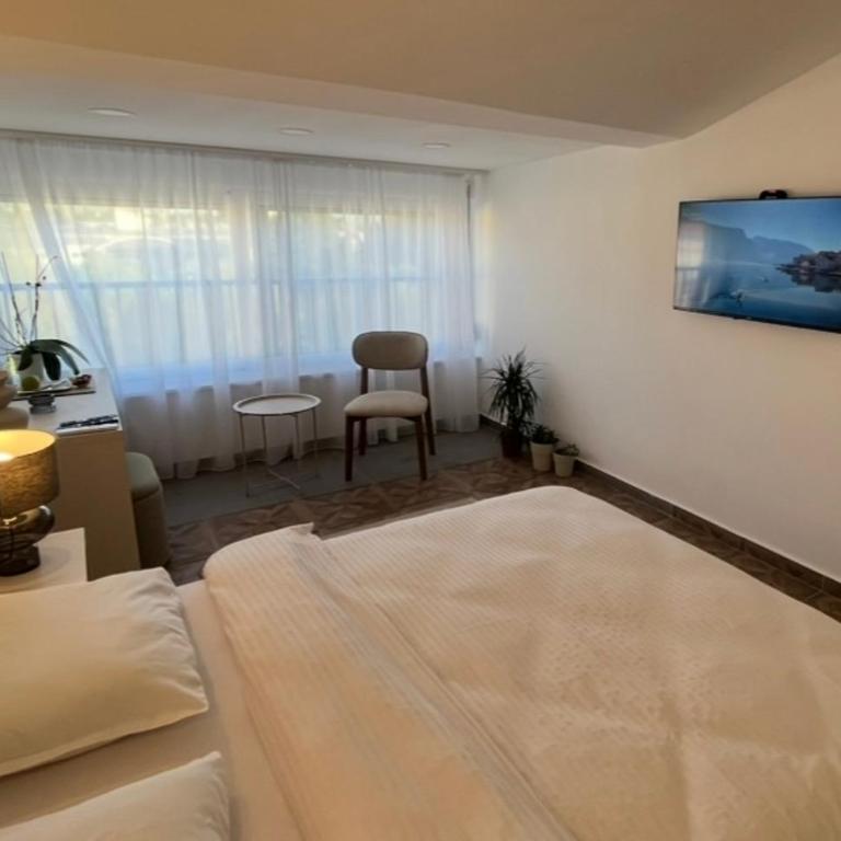Gymnasium Rooftop Suite - Apartman sa 1 Spavaćom Sobom - 3