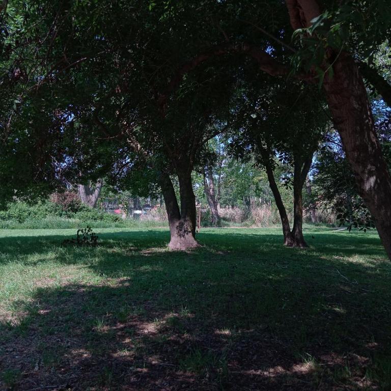 Studio 24 m2 - Hameaux de Camargue - village 9 - 13200 Arles - One-Bedroom Apartment - 21