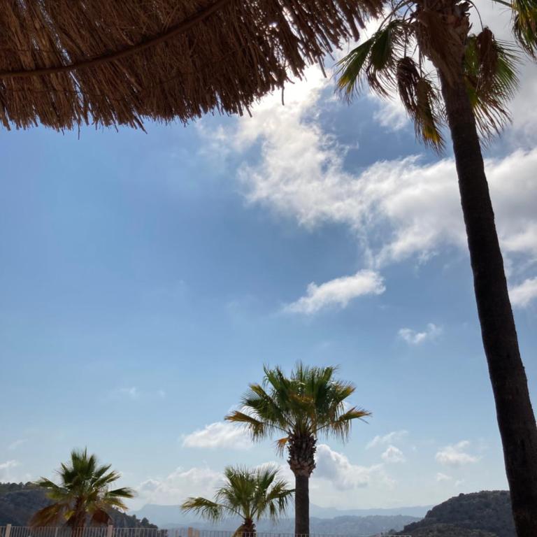 Appartement en Costa Blanca avec vue magnifique - Apartamento de 2 dormitorios - 33
