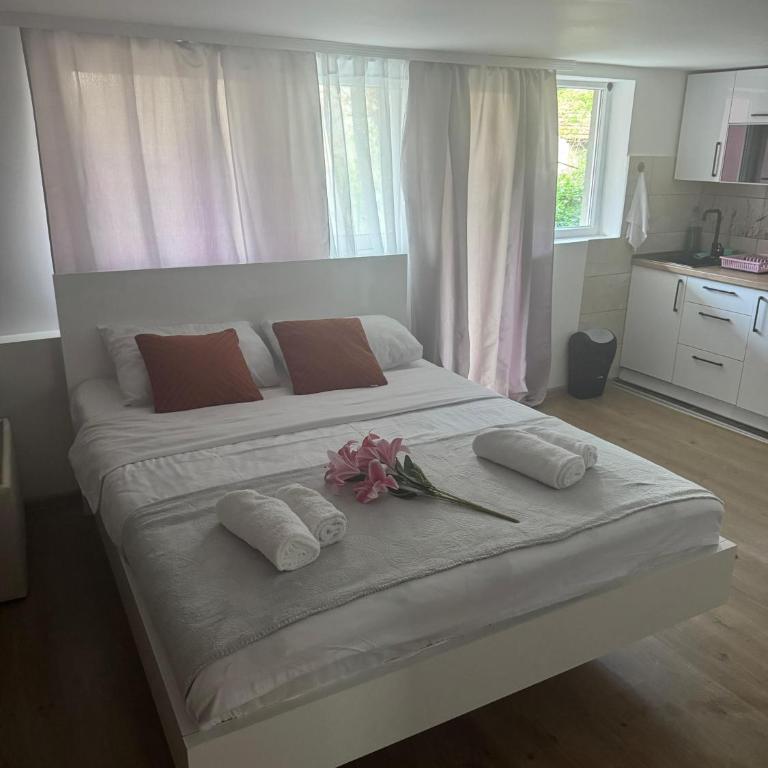 Viktor Lux Apartmani - Deluks Dvokrevetna Soba sa Bračnim Krevetom - 9