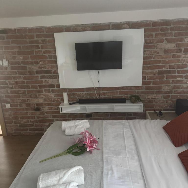 Viktor Lux Apartmani - Deluks Dvokrevetna Soba sa Bračnim Krevetom - 3
